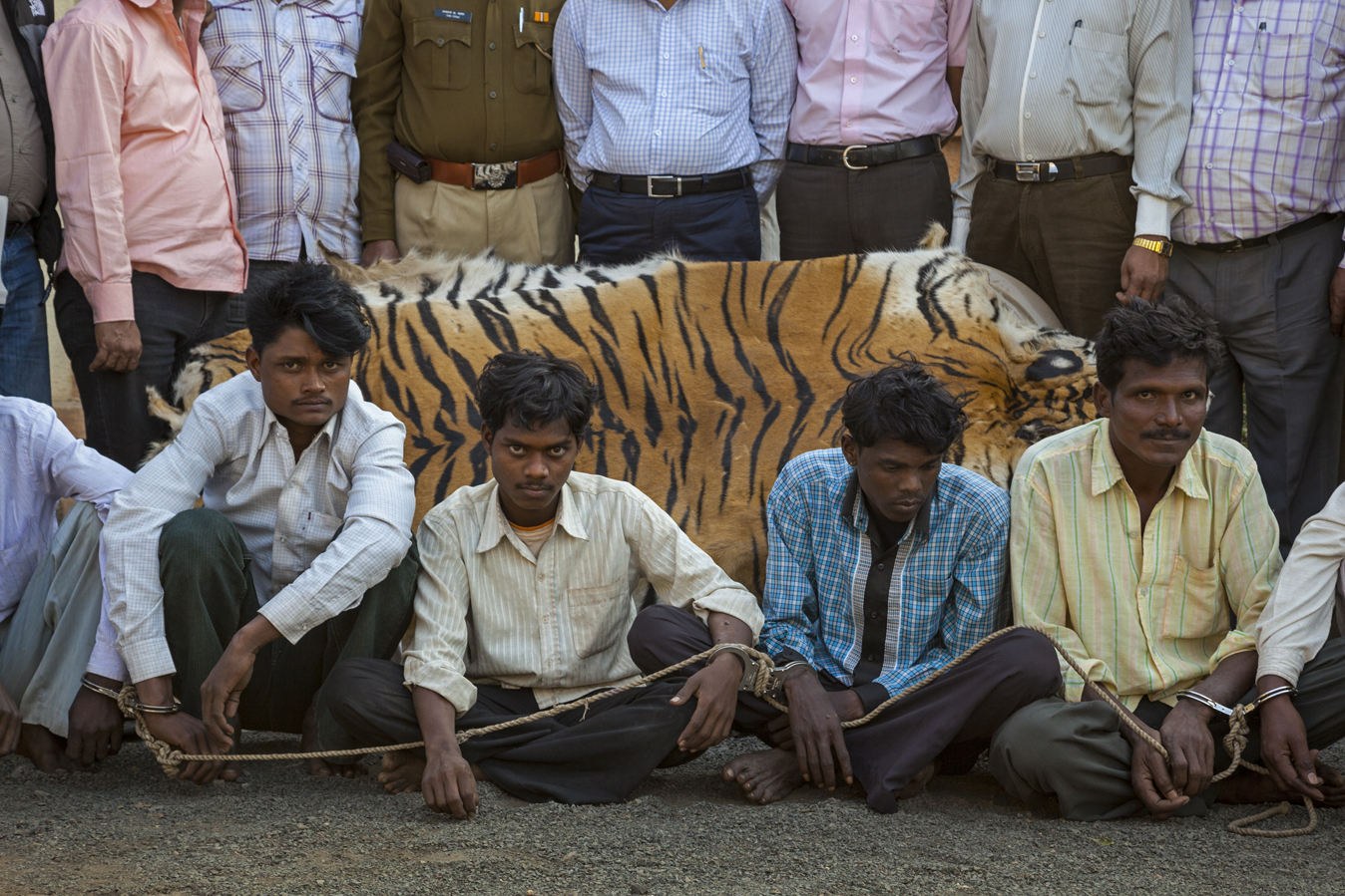 Фотография: В индийском парке ради спасения носорогов убивают людей №4 - BigPicture.ru
