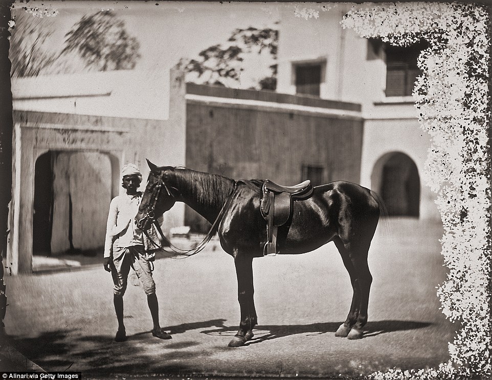 Коллекция фотографий гарема индийского махараджи, которая оставалась нетронутой более века История