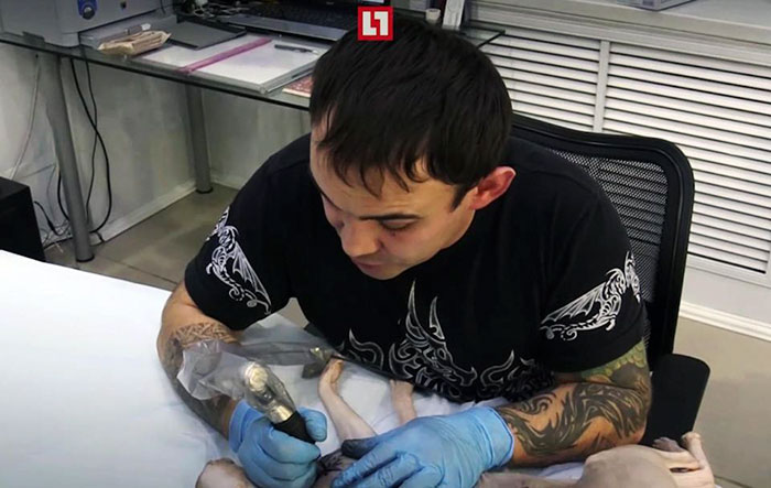 Фотография: Екатеринбуржец сделал своему коту несколько тюремных татуировок №2 - BigPicture.ru