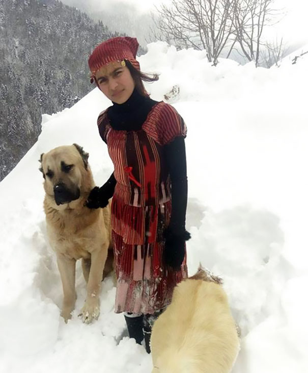 Фотография: 11-летняя девочка с собакой спасла козу и ее детеныша в горах №4 - BigPicture.ru