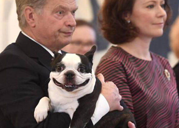 Пес президента Финляндии Ленну очаровывает интернет своей улыбкой