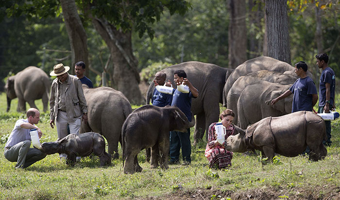 Фотография: В индийском парке ради спасения носорогов убивают людей №7 - BigPicture.ru
