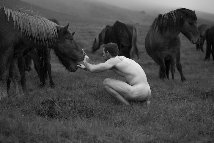 Фотография: Почему этот художник любит бегать с лошадьми по полям в чем мать родила №11 - BigPicture.ru