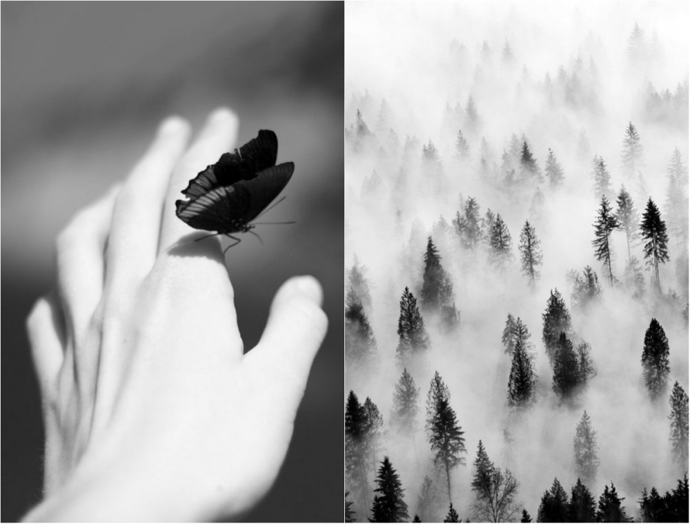 Фотография: 20 черно-белых кадров, в которых фотографы оставили частичку души №12 - BigPicture.ru