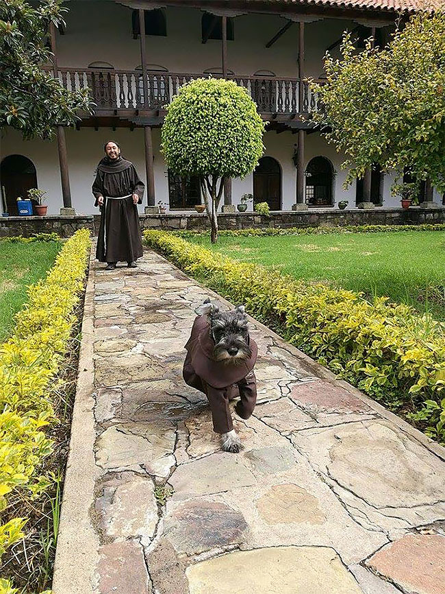Фотография: Бродячий пес стал настоящим католическим монахом №5 - BigPicture.ru