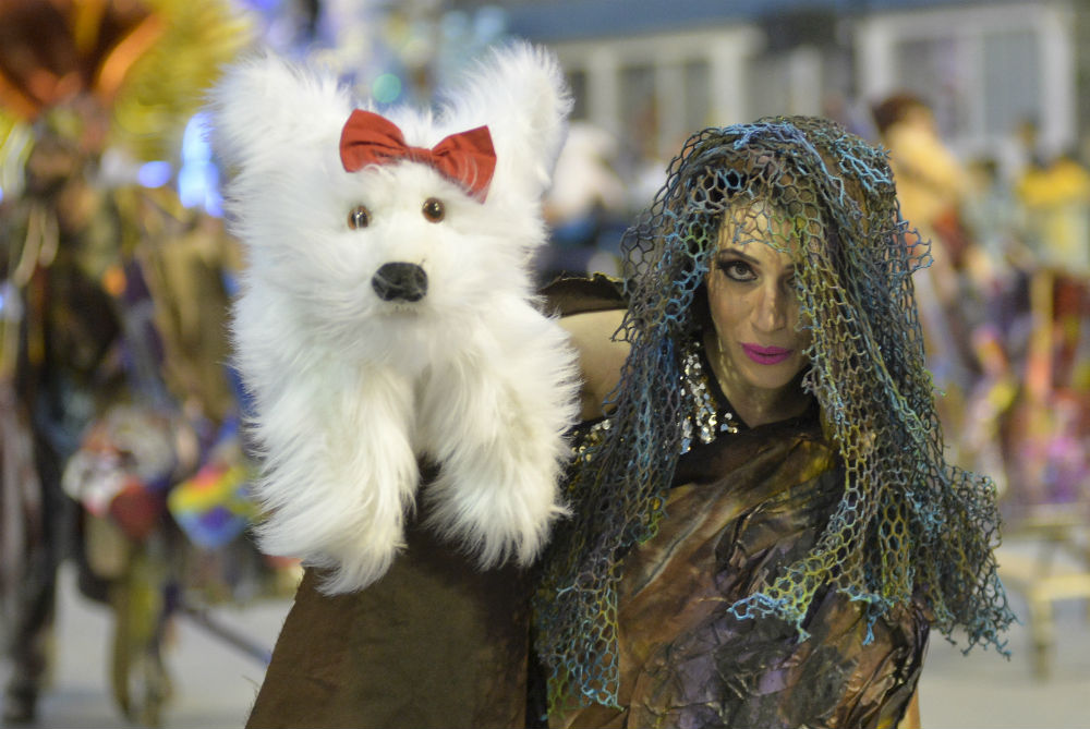 Фотография: Бразильский карнавал — 2017: яркие моменты и откровенные костюмы №35 - BigPicture.ru