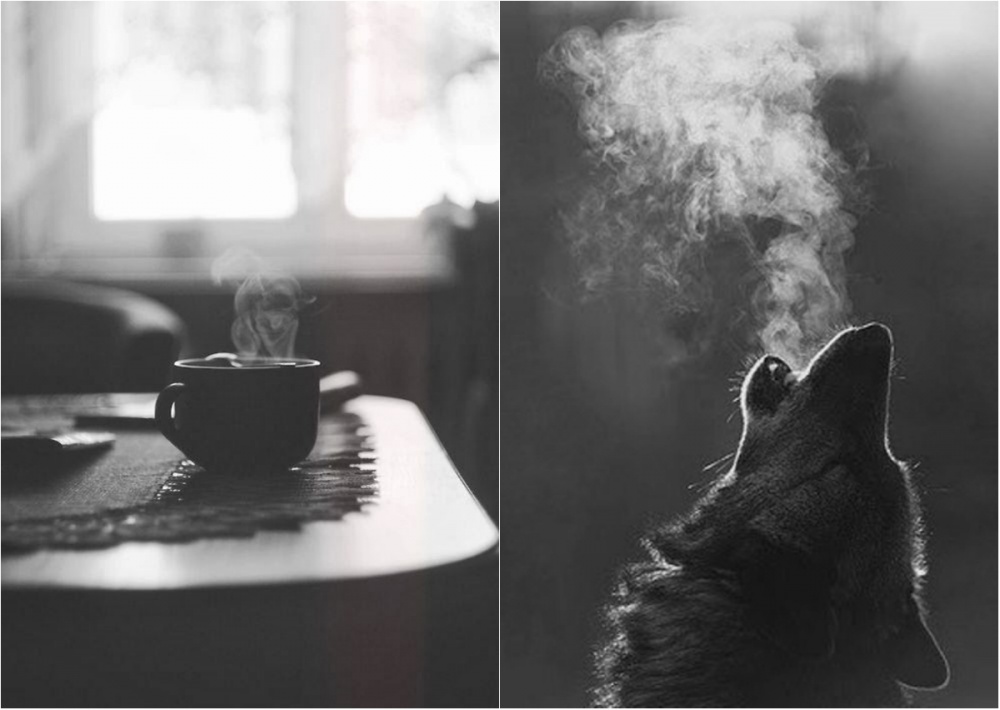 Фотография: 20 черно-белых кадров, в которых фотографы оставили частичку души №7 - BigPicture.ru