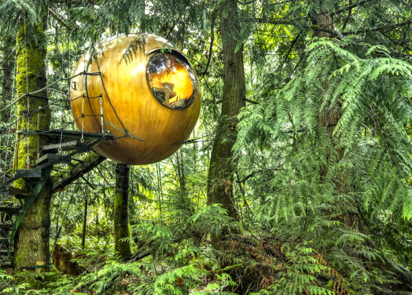 Канадский отель для тех, кто не перестал мечтать о домике на дереве