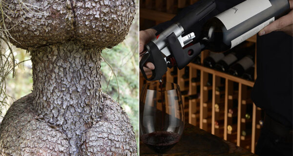 12 малоизвестных названий для вещей, которые всем известны