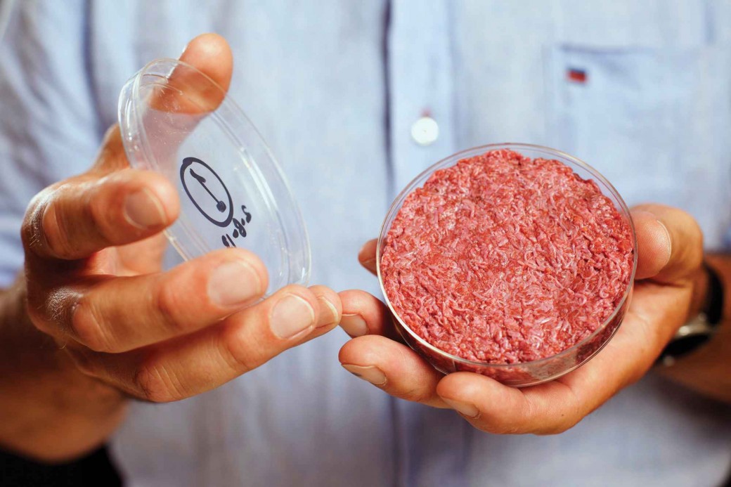 Фотография: А вы стали бы такое есть? Американцы вырастили мясо в пробирке №6 - BigPicture.ru