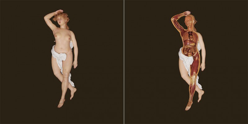 Фотография: Анатомическая Венера: на ком учились патологоанатомы XVIII века №11 - BigPicture.ru