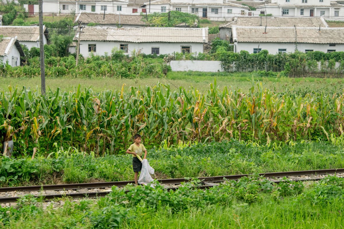 Фотография: Фотограф снял на телефон удручающие кадры из жизни простых людей в Северной Корее №14 - BigPicture.ru