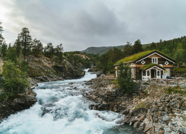 Зачем летом ехать туда, где холодно и дорого, — в Норвегию