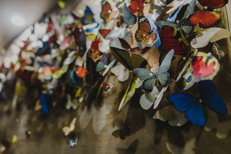 Фотография: Бумажная скорбь: девушка вырезала более 800 бумажных бабочек в память о покойной бабушке №7 - BigPicture.ru