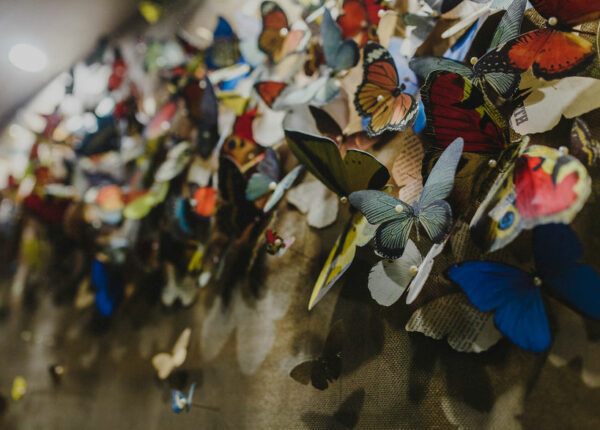 Бумажная скорбь: девушка вырезала более 800 бумажных бабочек в память о покойной бабушке
