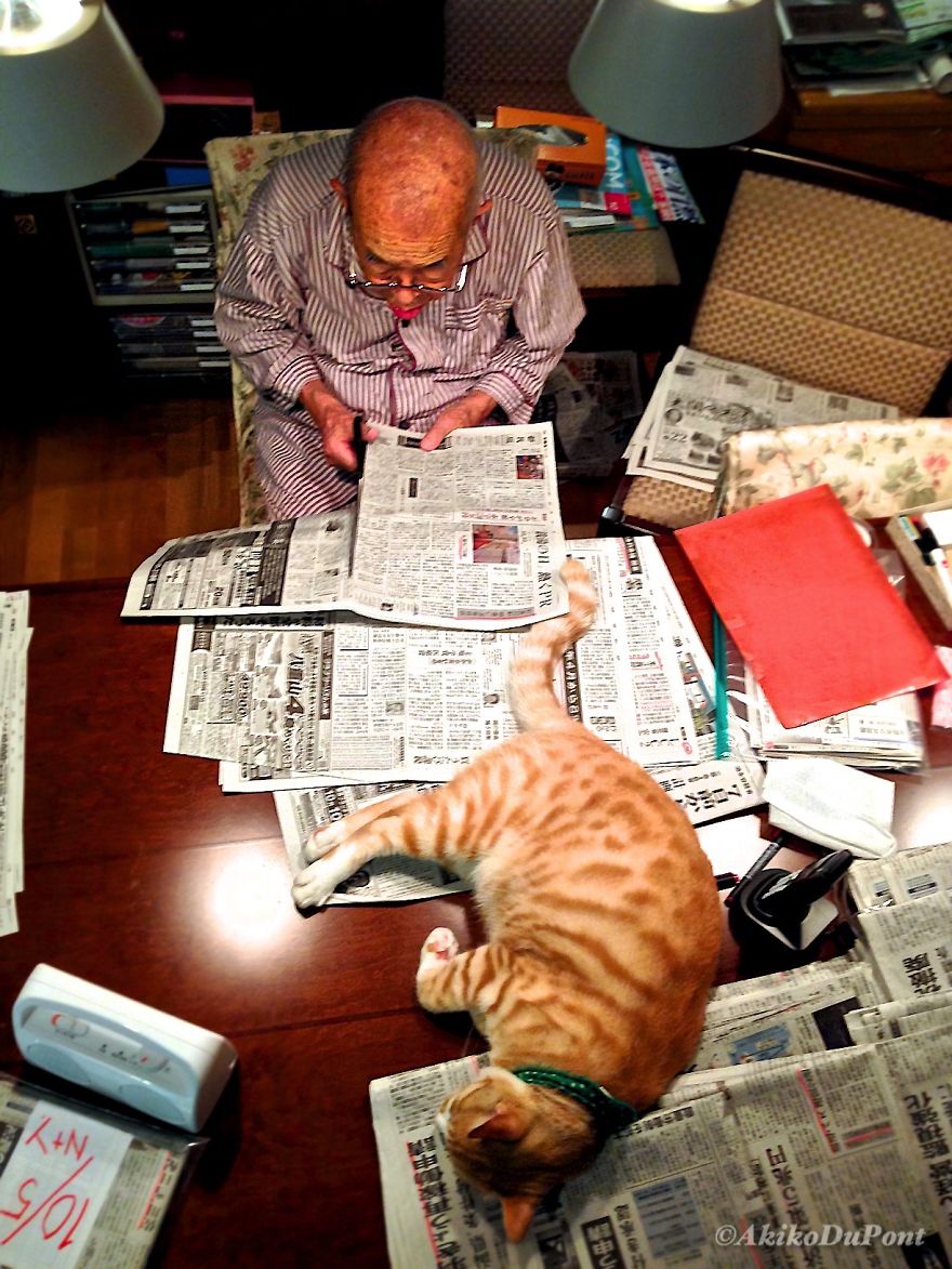 Фотография: Японка вернула своего дедушку к жизни, подарив ему котенка №13 - BigPicture.ru