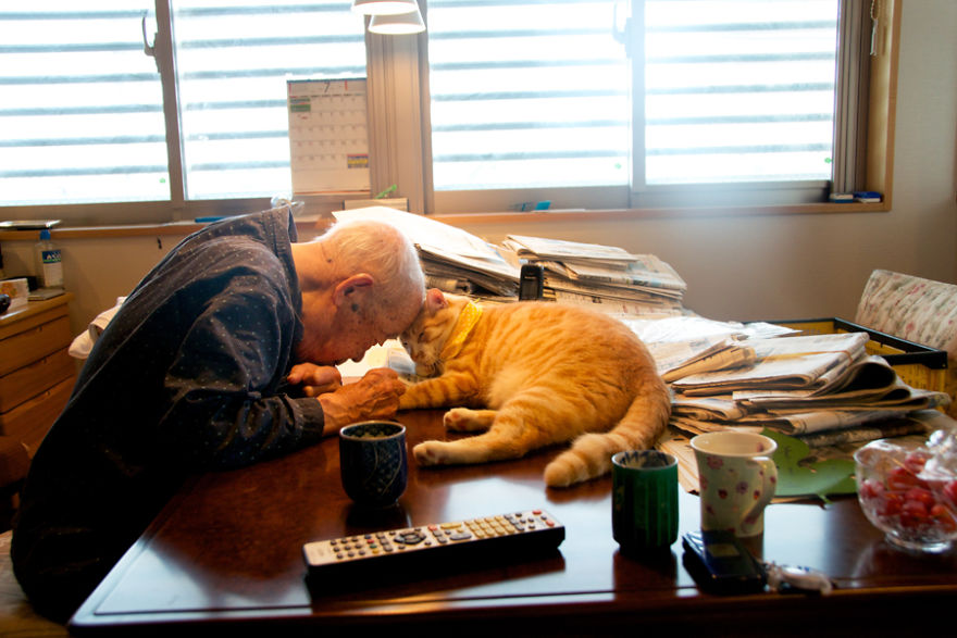 Фотография: Японка вернула своего дедушку к жизни, подарив ему котенка №1 - BigPicture.ru