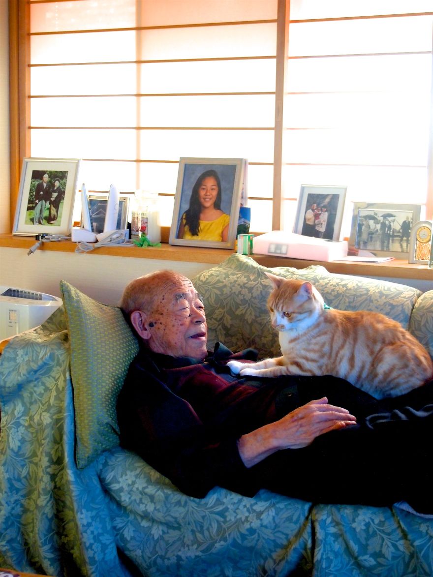 Фотография: Японка вернула своего дедушку к жизни, подарив ему котенка №16 - BigPicture.ru