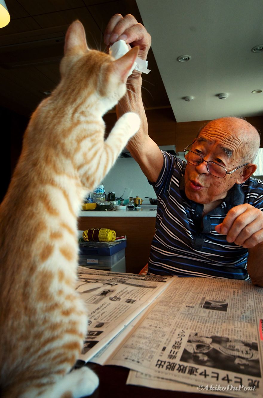 Фотография: Японка вернула своего дедушку к жизни, подарив ему котенка №12 - BigPicture.ru