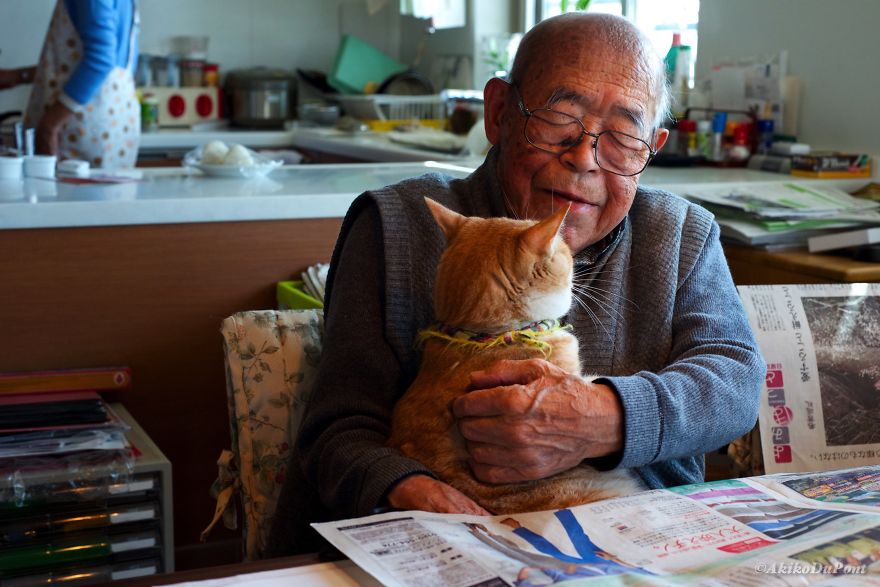 Фотография: Японка вернула своего дедушку к жизни, подарив ему котенка №11 - BigPicture.ru