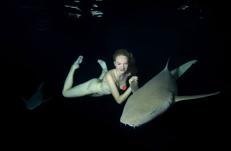 Фотография: Потрясающие подводные кадры: обнаженная русская модель плавает с акулами №1 - BigPicture.ru