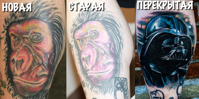 Фотография: Было — стало: как стареют татуировки №26 - BigPicture.ru
