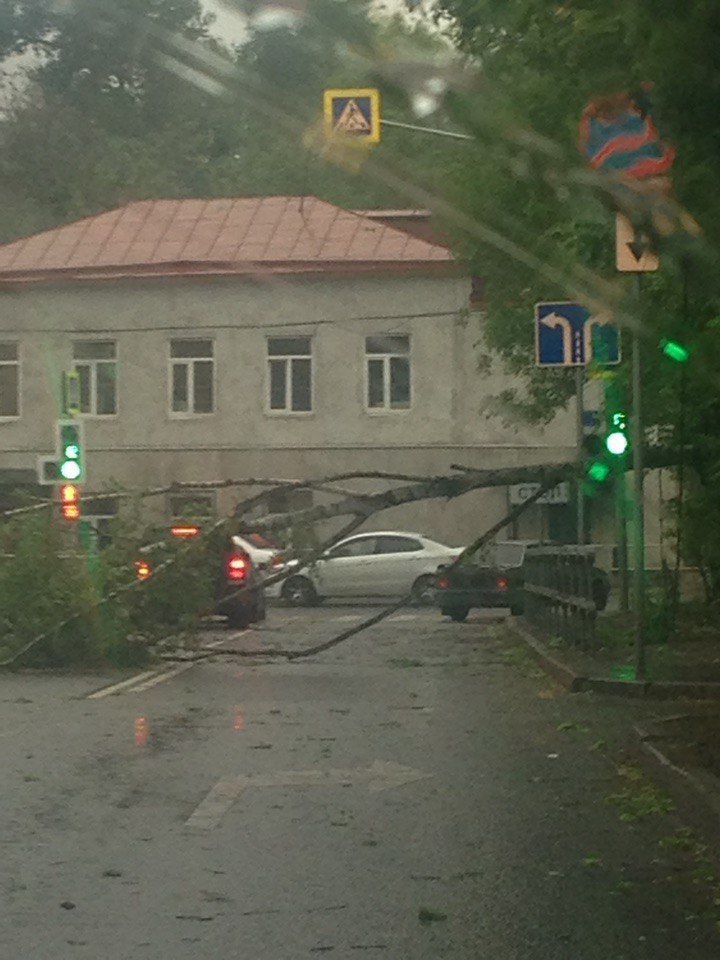 Фотография: Ураган в Москве: погибли люди, повалены деревья, разбиты машины №5 - BigPicture.ru
