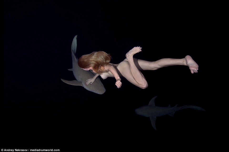 Фотография: Потрясающие подводные кадры: обнаженная русская модель плавает с акулами №11 - BigPicture.ru
