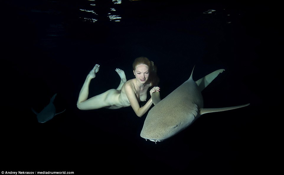 Фотография: Потрясающие подводные кадры: обнаженная русская модель плавает с акулами №2 - BigPicture.ru