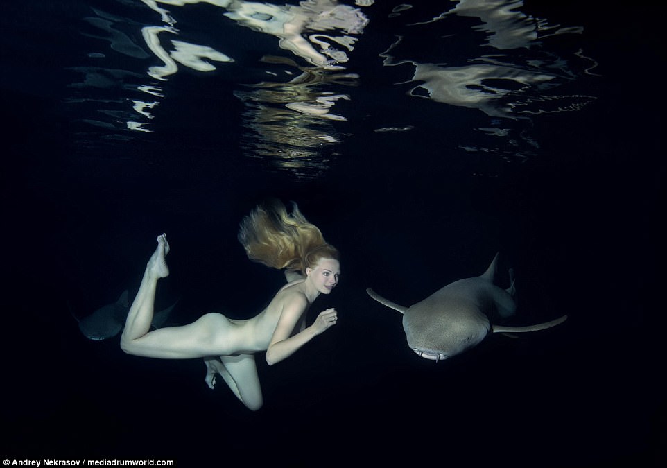 Фотография: Потрясающие подводные кадры: обнаженная русская модель плавает с акулами №14 - BigPicture.ru