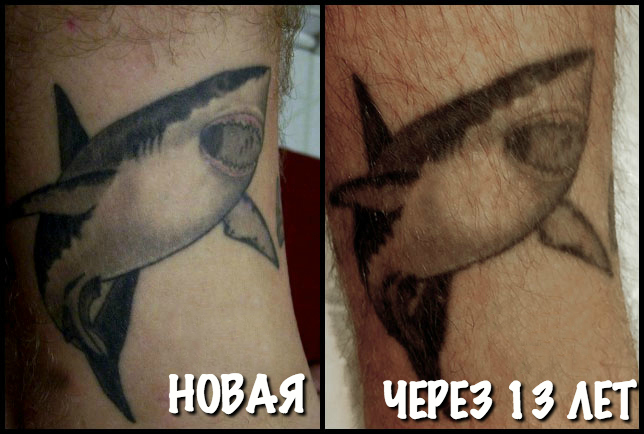 Фотография: Было — стало: как стареют татуировки №23 - BigPicture.ru