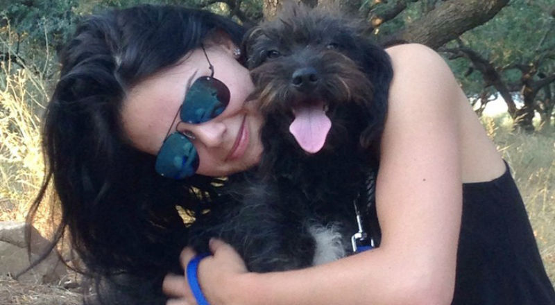 Фотография: Женщина забрала с Крита бездомную собаку, которая спасла ее во время отпуска №1 - BigPicture.ru