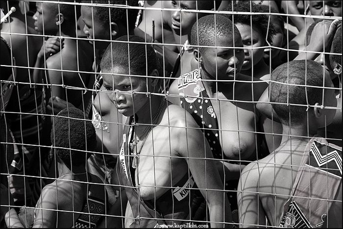 Фотография: Король выбирает: ежегодный парад девственниц в Свазиленде №4 - BigPicture.ru