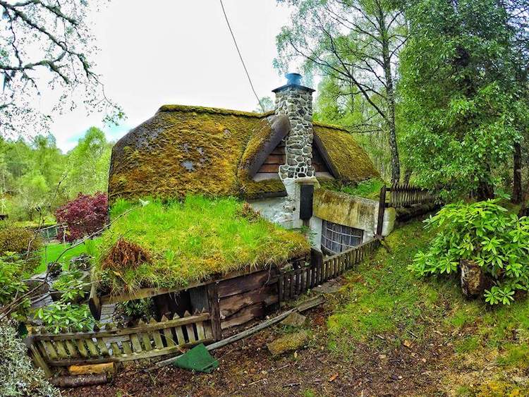 Фотография: Фанат Толкина своими руками построил дом хоббита и 20 лет живет в нем №15 - BigPicture.ru