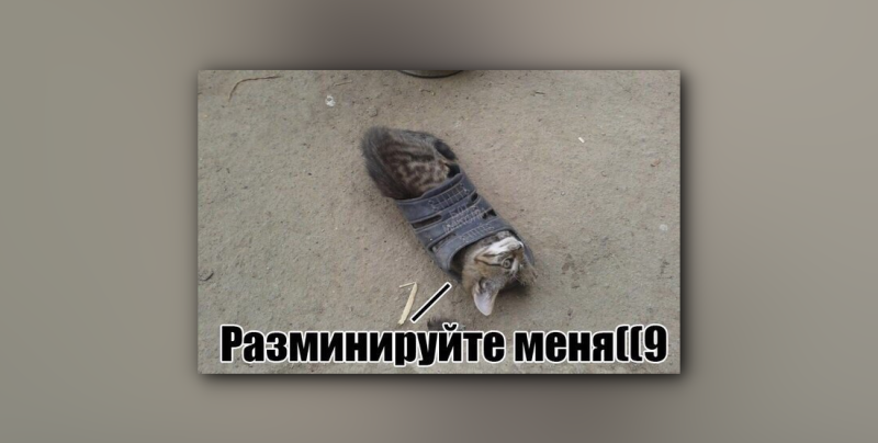 Фотография: Вжух! Все про самые популярные мемы интернета №48 - BigPicture.ru