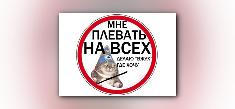 Фотография: Вжух! Все про самые популярные мемы интернета №45 - BigPicture.ru
