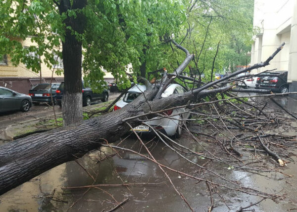 Ураган в Москве: погибли люди, повалены деревья, разбиты машины