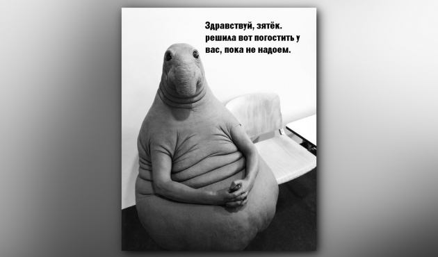 Фотография: Вжух! Все про самые популярные мемы интернета №4 - BigPicture.ru