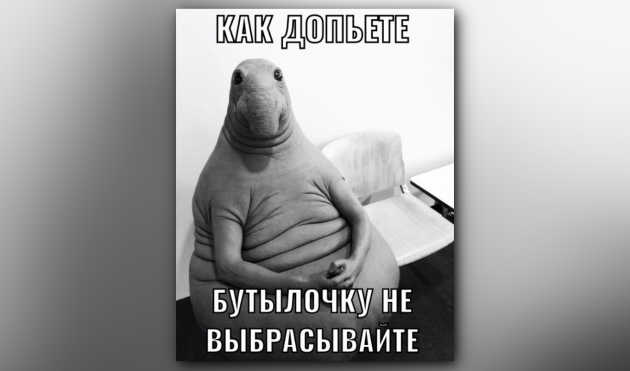 Фотография: Вжух! Все про самые популярные мемы интернета №6 - BigPicture.ru