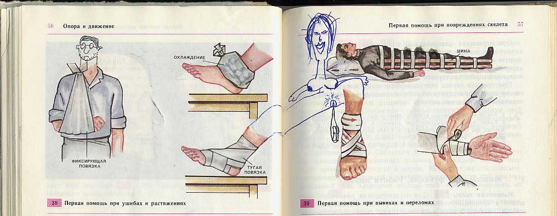 Фотография: Забавно разрисованный учебник биологии перенесет вас назад в 9-й класс №11 - BigPicture.ru