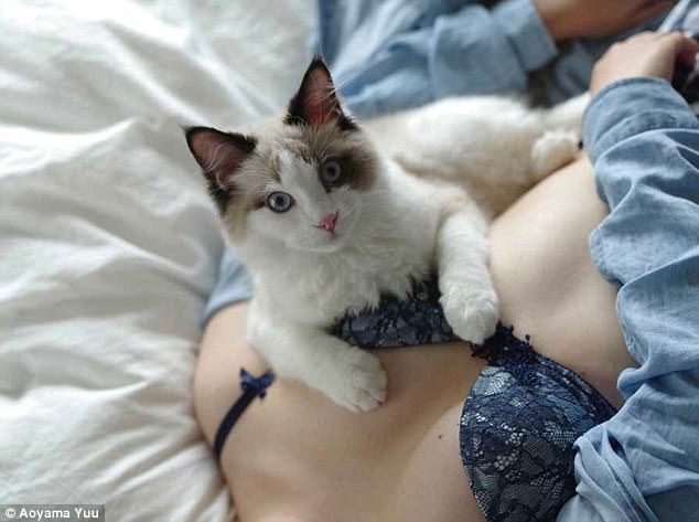 Фотография: Котики и груди: умиротворяющий альбом от японского фотографа №2 - BigPicture.ru