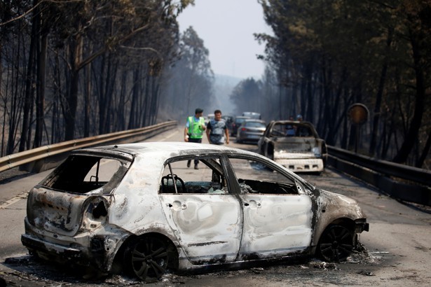 Фотография: Португалия страдает от самого масштабного пожара за последние 50 лет №3 - BigPicture.ru