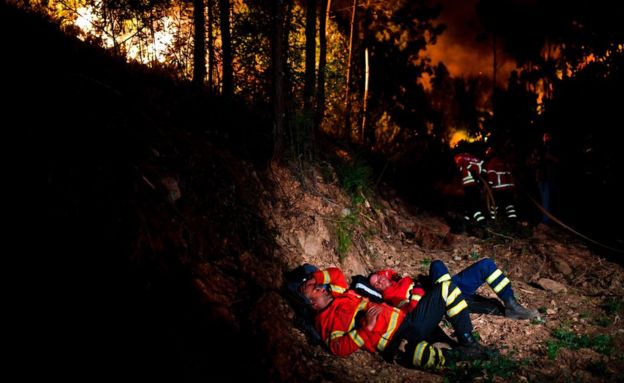 Фотография: Португалия страдает от самого масштабного пожара за последние 50 лет №13 - BigPicture.ru