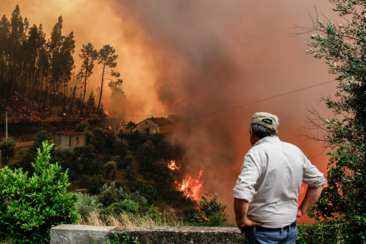 Фотография: Португалия страдает от самого масштабного пожара за последние 50 лет №16 - BigPicture.ru