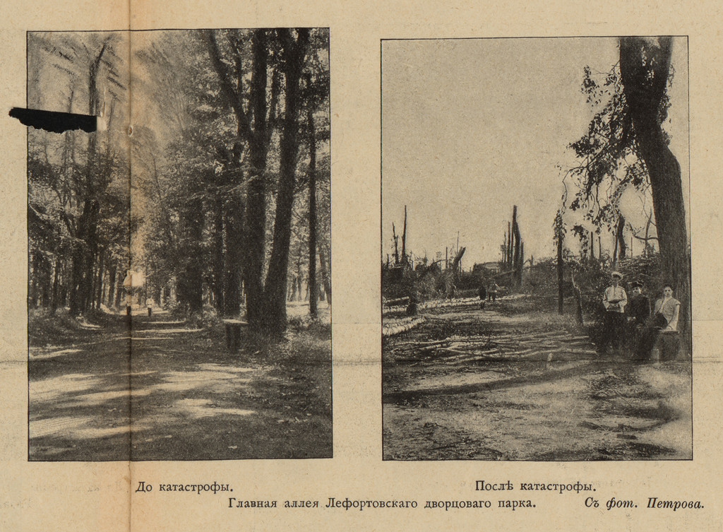 Фотография: Ураган 1904 года — самый смертоносный в Москве за 100 лет №18 - BigPicture.ru