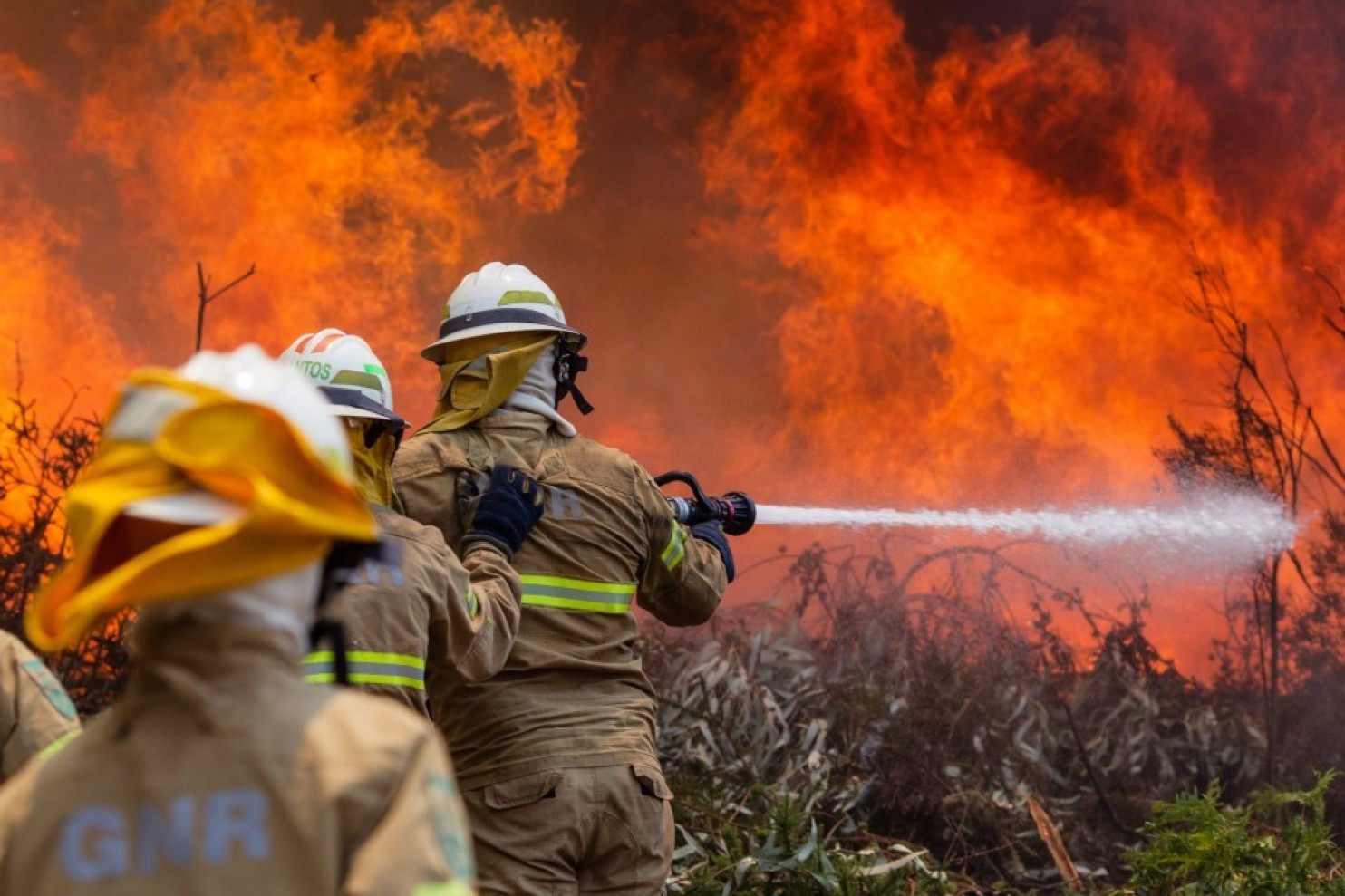 Фотография: Португалия страдает от самого масштабного пожара за последние 50 лет №18 - BigPicture.ru