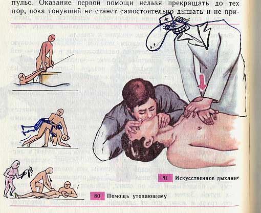 Фотография: Забавно разрисованный учебник биологии перенесет вас назад в 9-й класс №18 - BigPicture.ru