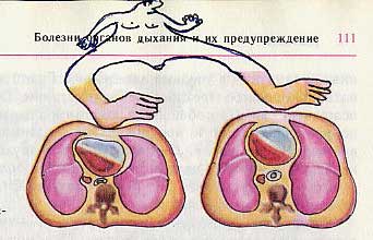 Фотография: Забавно разрисованный учебник биологии перенесет вас назад в 9-й класс №19 - BigPicture.ru