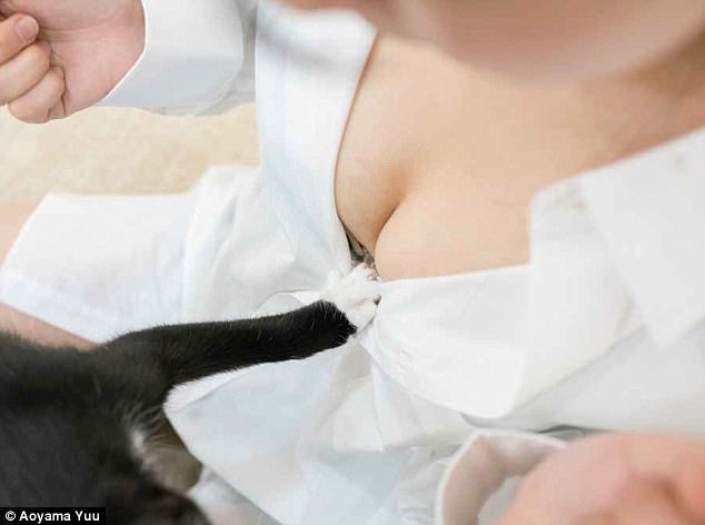 Фотография: Котики и груди: умиротворяющий альбом от японского фотографа №10 - BigPicture.ru