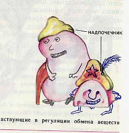 Фотография: Забавно разрисованный учебник биологии перенесет вас назад в 9-й класс №20 - BigPicture.ru